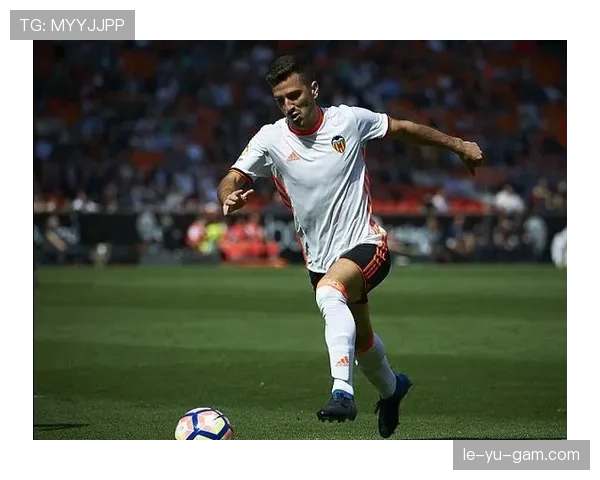 加亚技术全面性